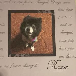 Meet your Posher, Melanie